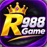 R988 Game